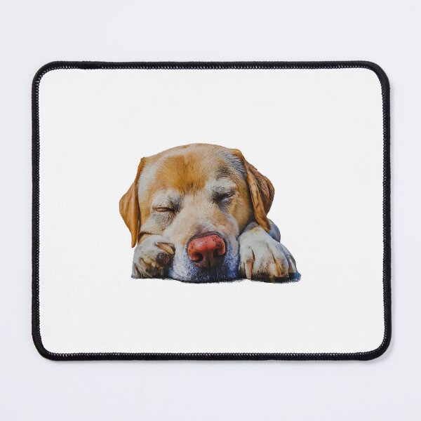 Item preview, Hilarious Dog Expressions & Behaviors designed and sold by hamishby.