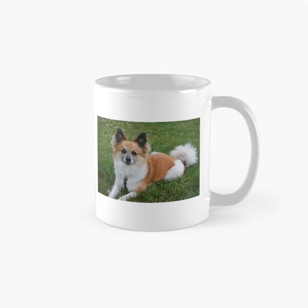 Item preview, Pomeranian Sitting Pretty Photography designed and sold by ThePhotograph03.