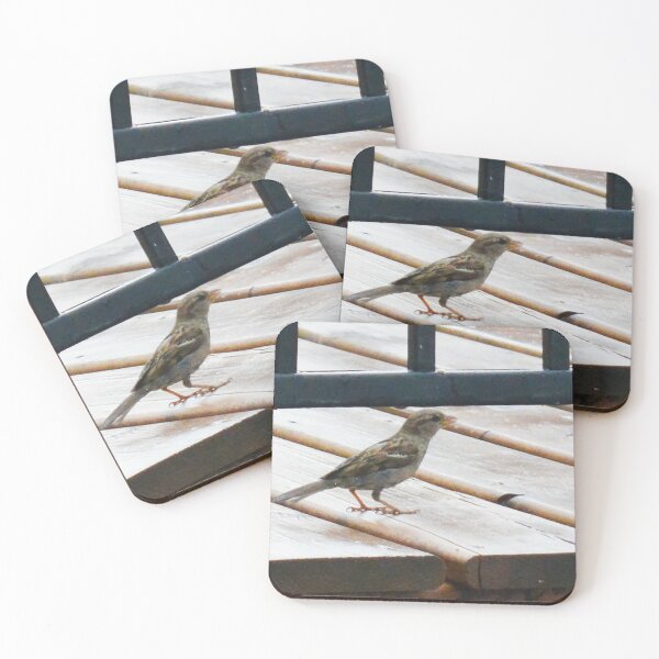 Item preview, Little Bird Photoshraphy designed and sold by ThePhotograph03.