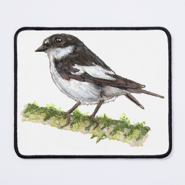 Item preview, European Pied Flycatcher designed and sold by Laeton Designs.