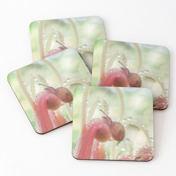 Item preview, Snail Series 2 - Grevilleas designed and sold by ShotsOfLove.