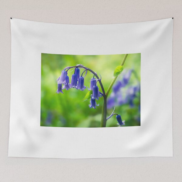 Item preview, English Bluebells - Hyacinthoides non-scripta designed and sold by Dorset Girl.