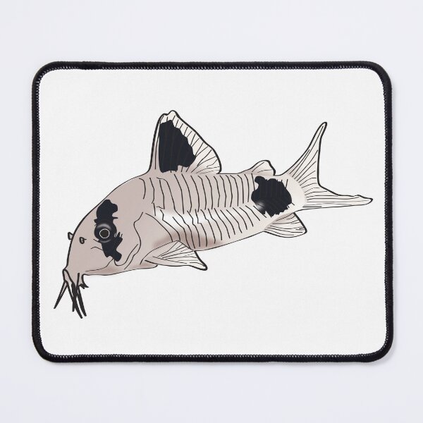 Item preview, Panda Corydoras Catfish designed and sold by Yellow Bird Studios.