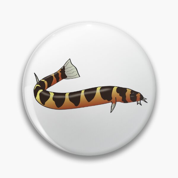 Item preview, Striped Kuhli Loach designed and sold by Yellow Bird Studios.