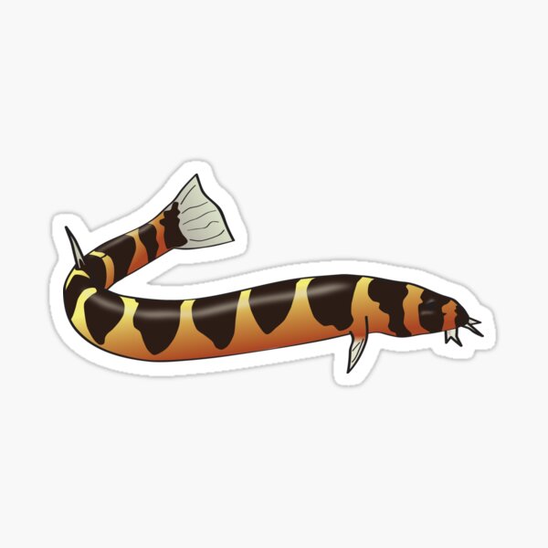 Item preview, Striped Kuhli Loach designed and sold by Yellow Bird Studios.