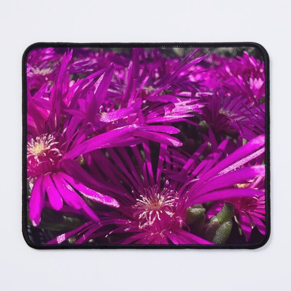 Item preview, Coopers Hardly Ice Plant designed and sold by Betsy Phillips.