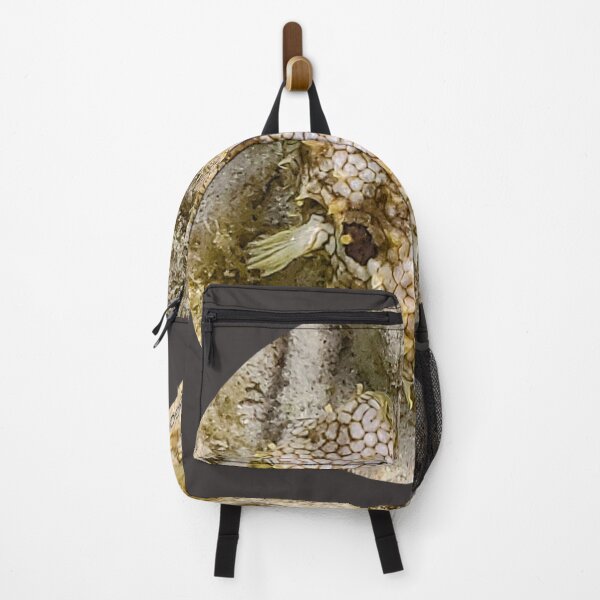 Item preview, Underwater Bristle Puffer Fish on the Dive in Bonaire by Wagonesta  designed and sold by Wagonesta.