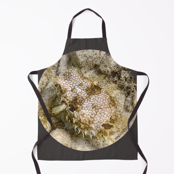 Item preview, Underwater Bristle Puffer Fish on the Dive in Bonaire by Wagonesta  designed and sold by Wagonesta.