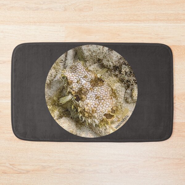 Item preview, Underwater Bristle Puffer Fish on the Dive in Bonaire by Wagonesta  designed and sold by Wagonesta.