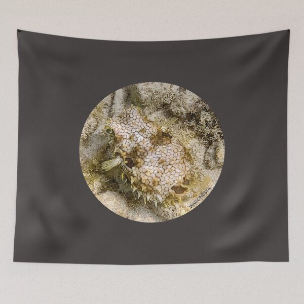 Item preview, Underwater Bristle Puffer Fish on the Dive in Bonaire by Wagonesta  designed and sold by Wagonesta.