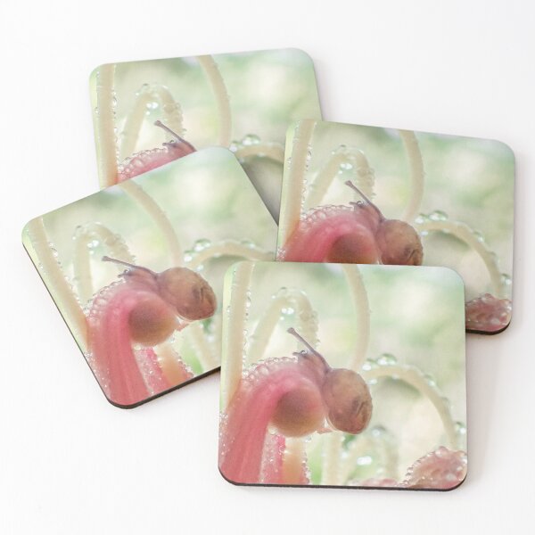 Item preview, Snail Series 4 - Grevillea Droplets designed and sold by ShotsOfLove.