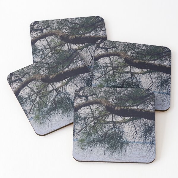 Item preview, Casuarina Branch Hanging Over The Lake Foreshore designed and sold by Designsbygroovy.