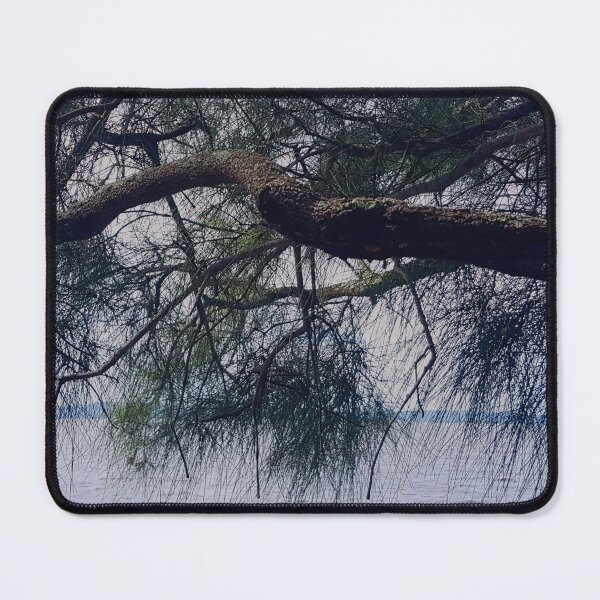 Item preview, Casuarina Branch Hanging Over The Lake Foreshore designed and sold by Designsbygroovy.