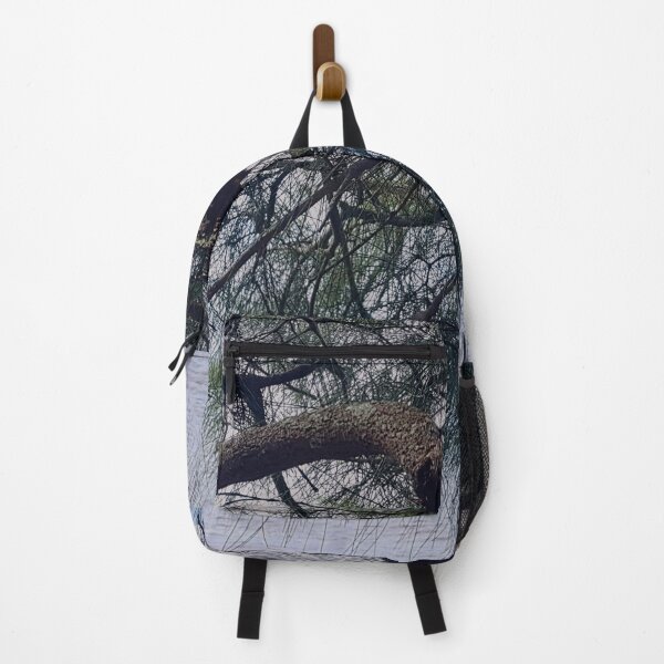 Item preview, Casuarina Branch Hanging Over The Lake Foreshore designed and sold by Designsbygroovy.