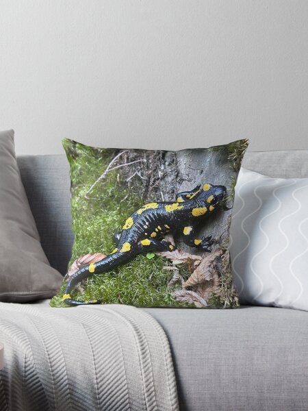 Vista previa del artículo con la obra «Salamandra de fuego (Salamandra salamandra) - salamandra amarilla y negra», diseñado y vendido por Maria Veleva.