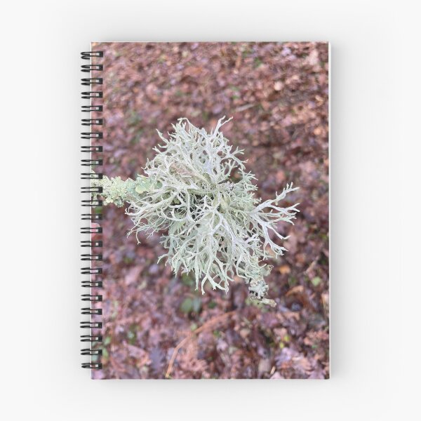 Item preview, Oak Moss designed and sold by Alison Crowe.