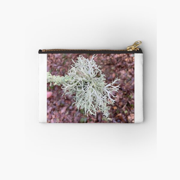 Item preview, Oak Moss designed and sold by Alison Crowe.