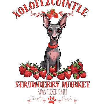 Imagen de la obra Coqueta Perro Estético Mercado de fresas patas recogidas diariamente frutas dulces y libres xoloitzcuintle de GoodyPaws