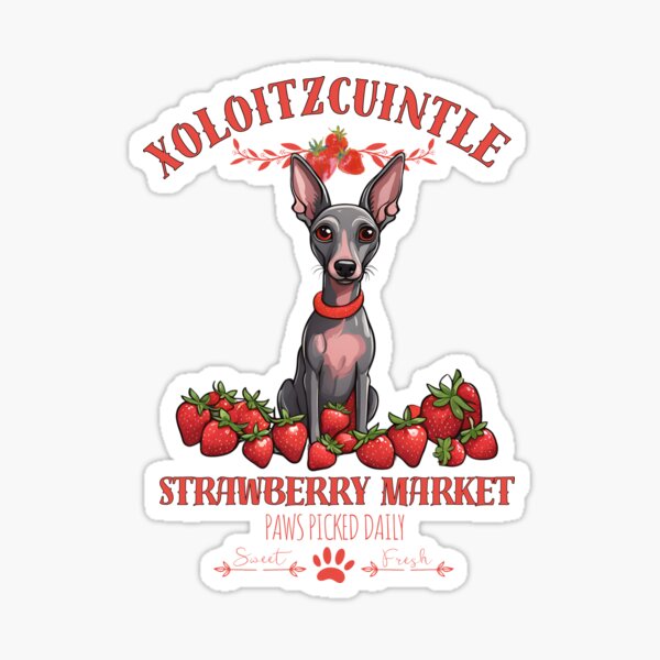 Item preview, Coqueta Perro Estético Mercado de fresas patas recogidas diariamente frutas dulces y libres xoloitzcuintle  designed and sold by GoodyPaws.