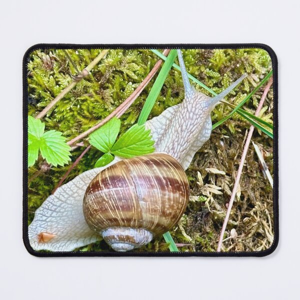 Item preview, Garden Snail designed and sold by Maria Veleva.