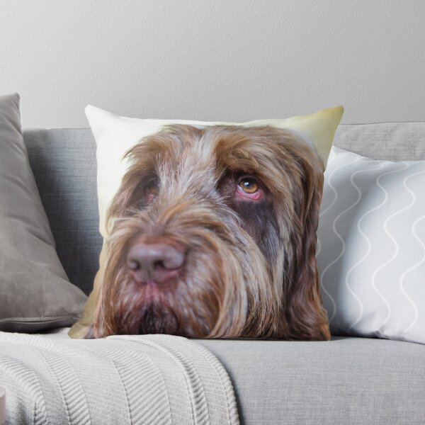 Brown Roan Italian Spinone Dog Head Shot Throw Pillow