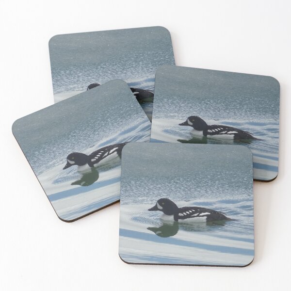 Item preview, Foraging For Fish designed and sold by Rorymacve.