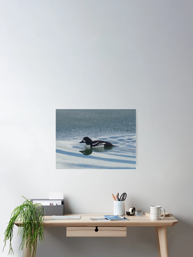 Thumbnail 2 of 3, Poster, Foraging For Fish designed and sold by Rorymacve.