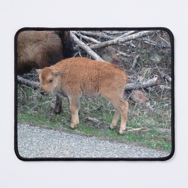 Item preview, Roadside Red Dog designed and sold by Rorymacve.