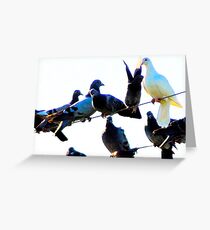 Blondie & her mates Greeting Card