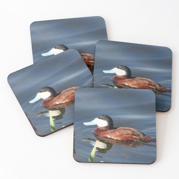 Item preview, Blue-billed duck designed and sold by Rorymacve.