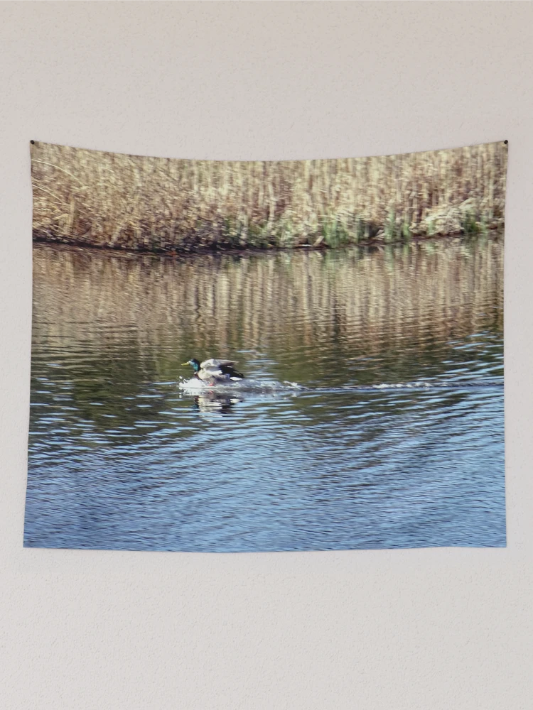 Thumbnail 2 of 3, Tapestry, Touchdown designed and sold by Rorymacve.