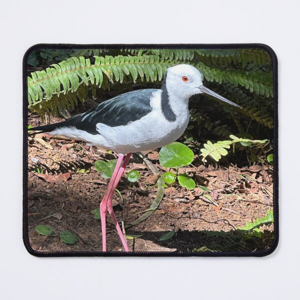 Item preview, Stilt Bird designed and sold by Maria Veleva.