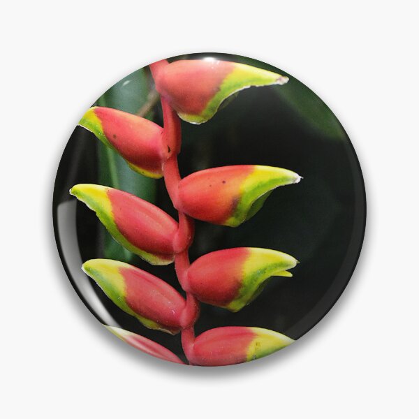 Item preview, Parrot's Beak Flowers designed and sold by MercerImages.