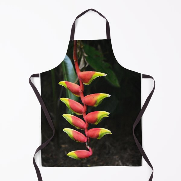 Item preview, Parrot's Beak Flowers designed and sold by MercerImages.