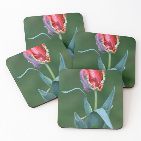 Item preview, Red Parrot Tulip designed and sold by clint hudson.