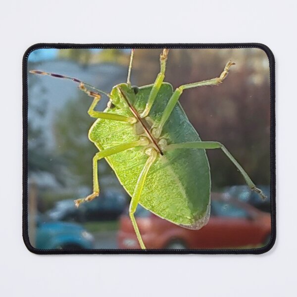 Item preview, Green insect on a window with an urban background designed and sold by Peter-Pan-S.