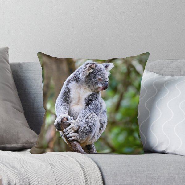 Item preview, Australian koala designed and sold by T&C Finesse.