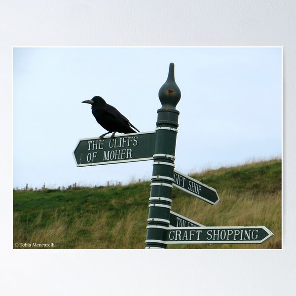 Item preview, Black  Crow in cliff of moher designed and sold by NorgTs.