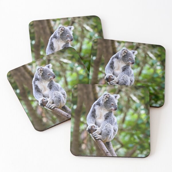 Item preview, Australian koala designed and sold by T&C Finesse.