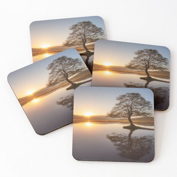 Item preview, A solitary tree at dawn designed and sold by Leighton Collins.