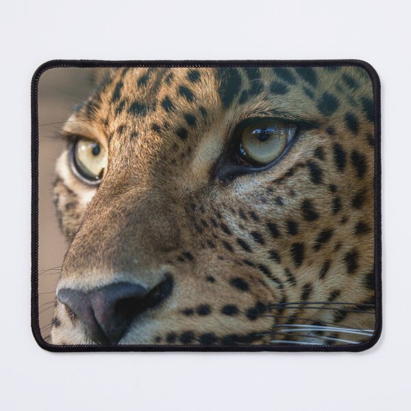 Item preview, The Eye of the Night Hunter designed and sold by rawshutterbug.