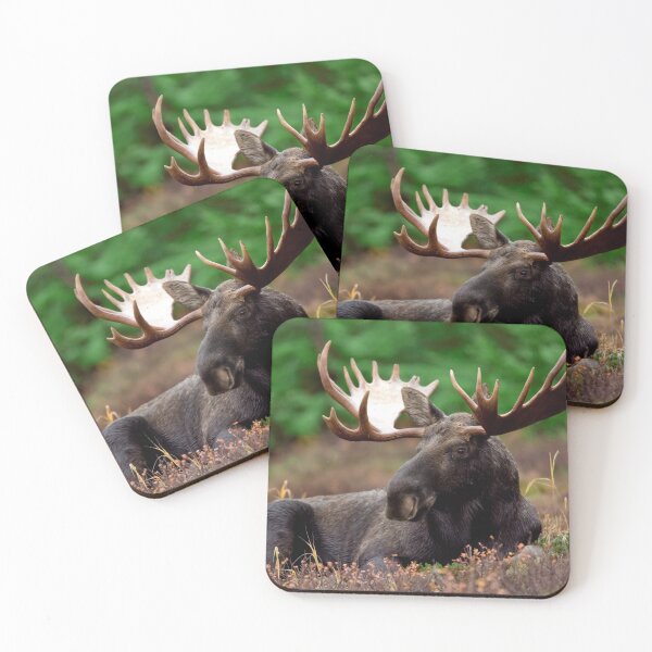 Item preview, Moose Antlers designed and sold by Bunmigraphics .