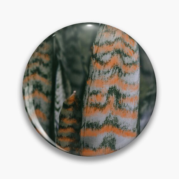 Item preview, Sansevieria snake plant designed and sold by OxeLiveHappier.