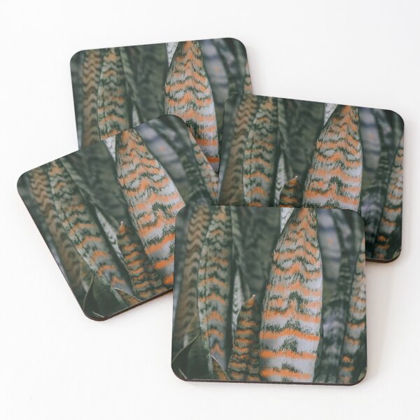 Item preview, Sansevieria snake plant designed and sold by OxeLiveHappier.