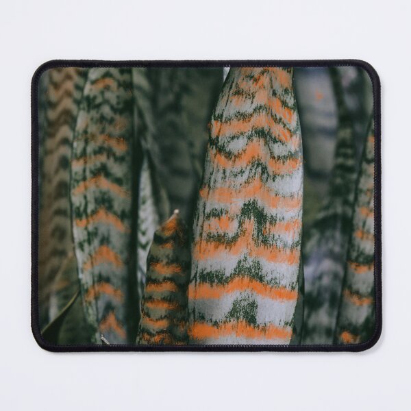 Item preview, Sansevieria snake plant designed and sold by OxeLiveHappier.