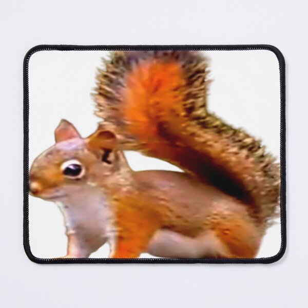 Item preview, Cute Squirrel Design designed and sold by 3triadstore.