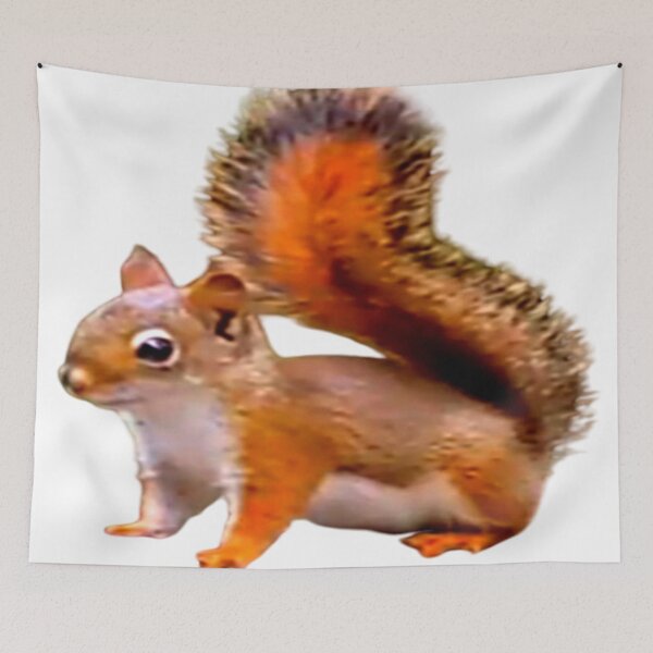 Item preview, Cute Squirrel Design designed and sold by 3triadstore.