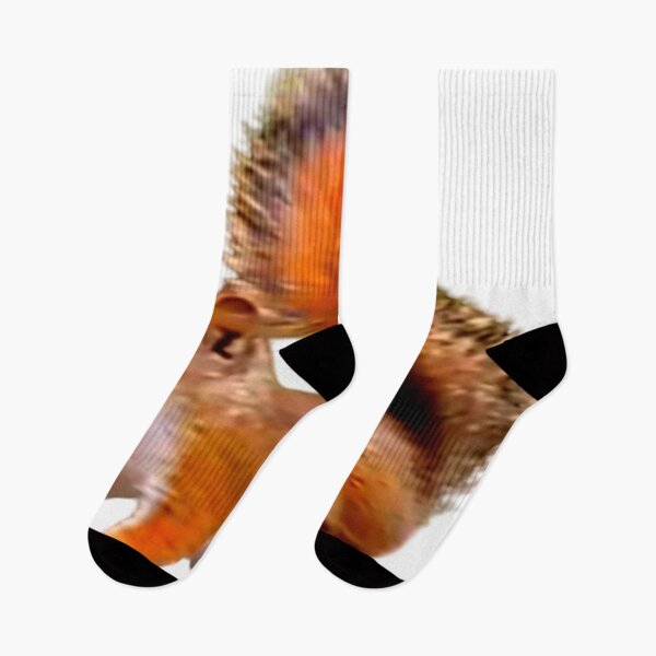 Item preview, Cute Squirrel Design designed and sold by 3triadstore.