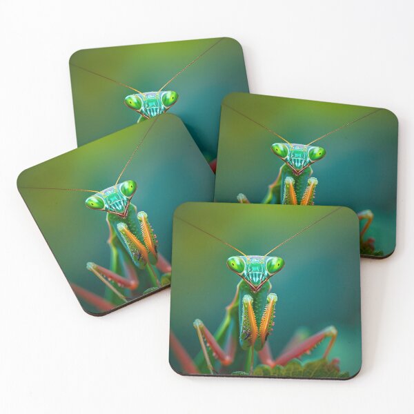 Item preview, Close-up of vibrantly colored praying mantis  designed and sold by Artessie.