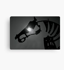 Equine Canvas Print
